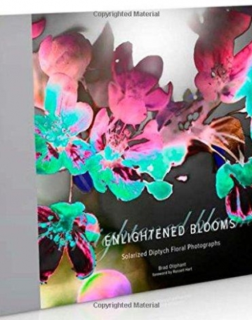 Enlightened Blooms: Solarized Diptych Floral Photographs
