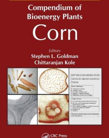 Compendium of Bioenergy Plants: Corn