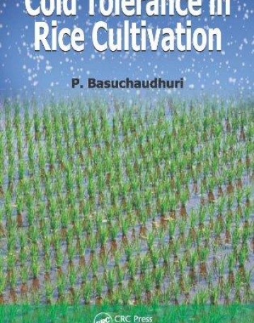 Cold Tolerance in Rice Cultivation