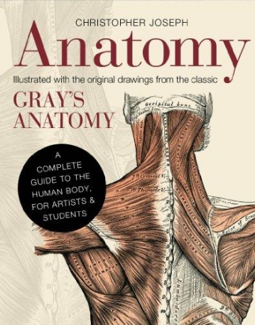 Anatomy