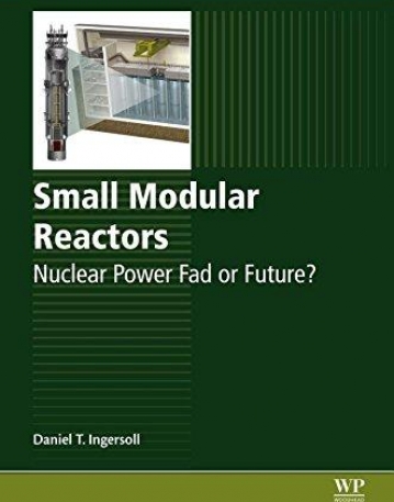 Small Modular Reactors, Nuclear Power Fad or Future?