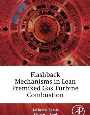 Flashback Mechanisms in Lean Premixed Gas Turbine Combustion