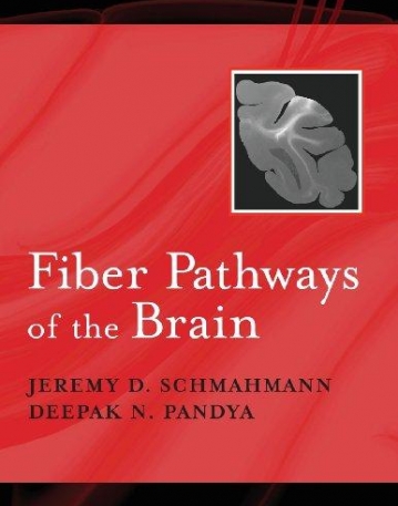 Fiber Pathways Of The Brain