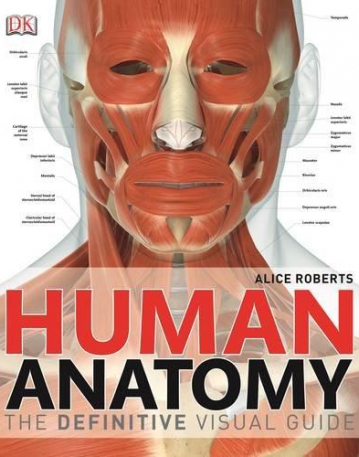 Human Anatomy