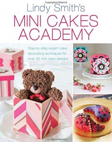 Mini Cakes Academy