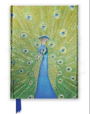 Notebook Peacock (Photographic) (FTNB36)