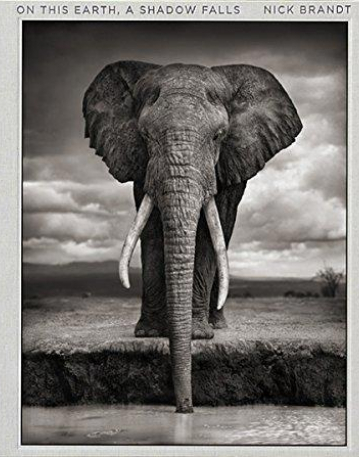 Nick Brandt