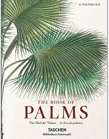 MARTIUS. THE BOOK OF PALMS