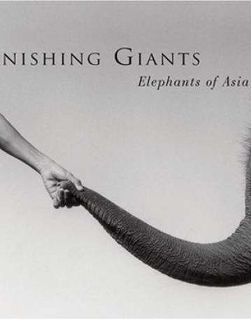 vanishing giants