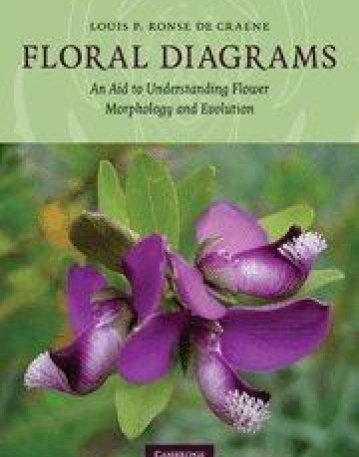 FLORA DIAGRAMS, an aid to understanding flower ?