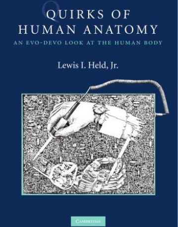 QUIRKE OF HUMAN ANATOMY, an EVO-DEVO look at the human