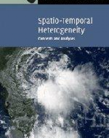SPATIO TEMPORAL HETEROGENEITY