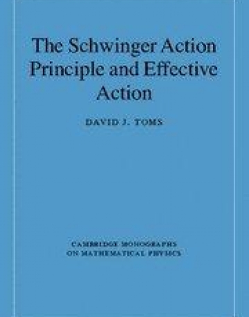 THE SCHWINGER ACTION PRINCIPLES & EFFECTIVE ACTION