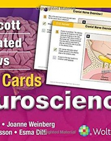Lippincott Illustrated Reviews Flash Cards: Neuroscience