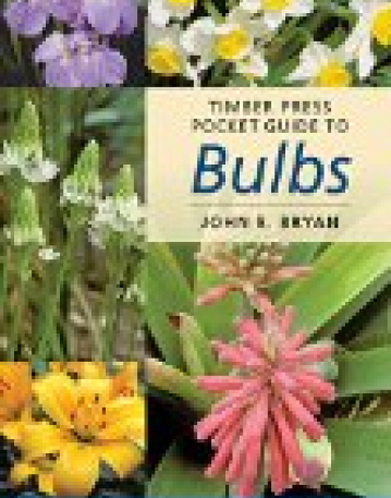 Bulbs